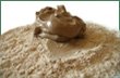 External Use Clay Blend