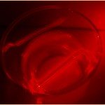 1/2 Second Photograph Delay - Colloidal Silver Tyndall Effect